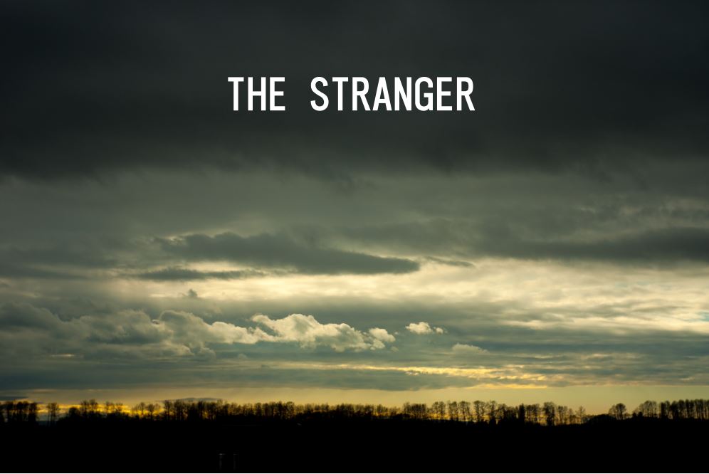 The cover of the draft photo book