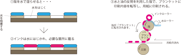 オフセット印刷でインクが用紙に転写されるしくみを示す図